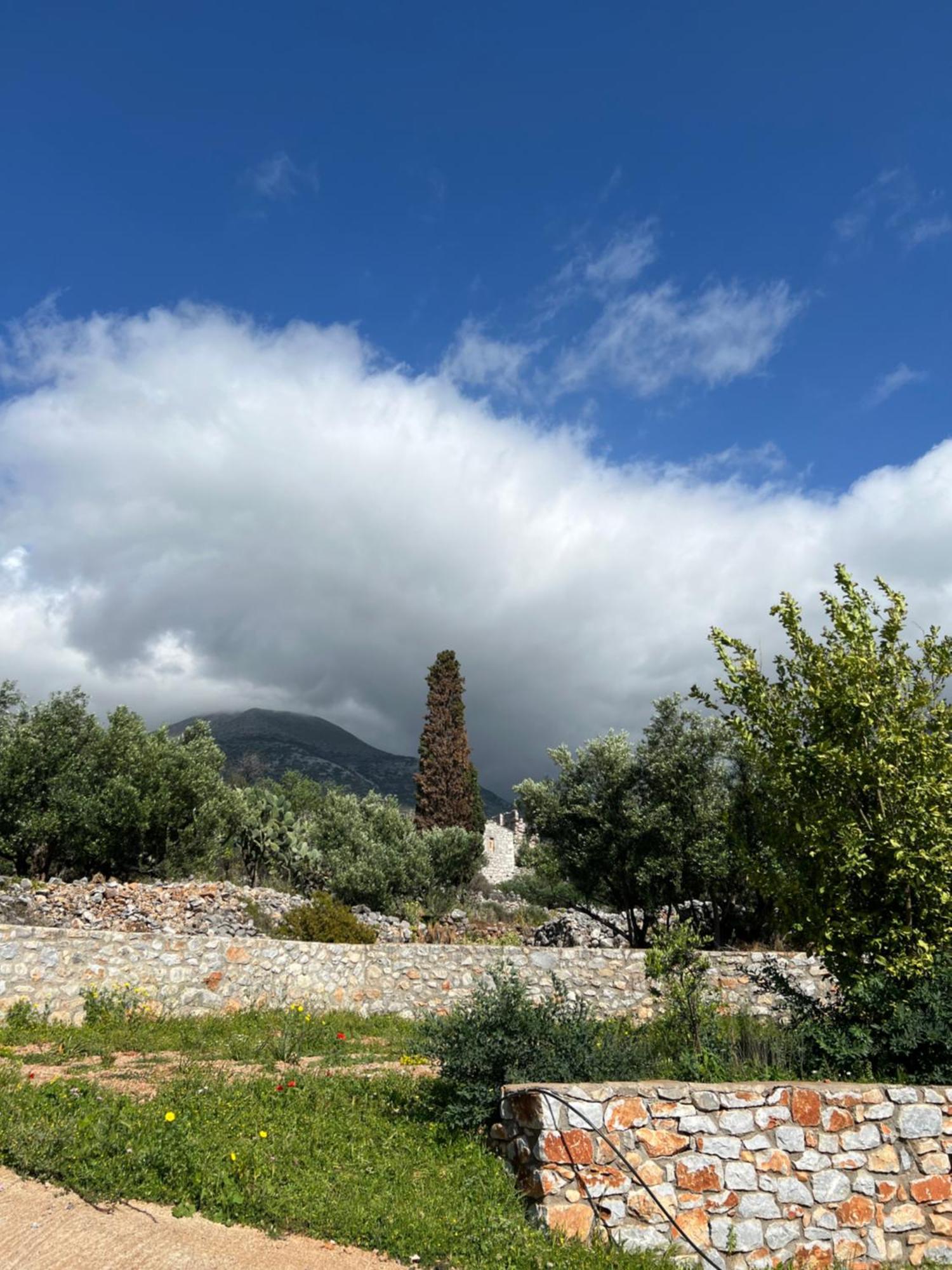Koukouri Village Kafiona Экстерьер фото